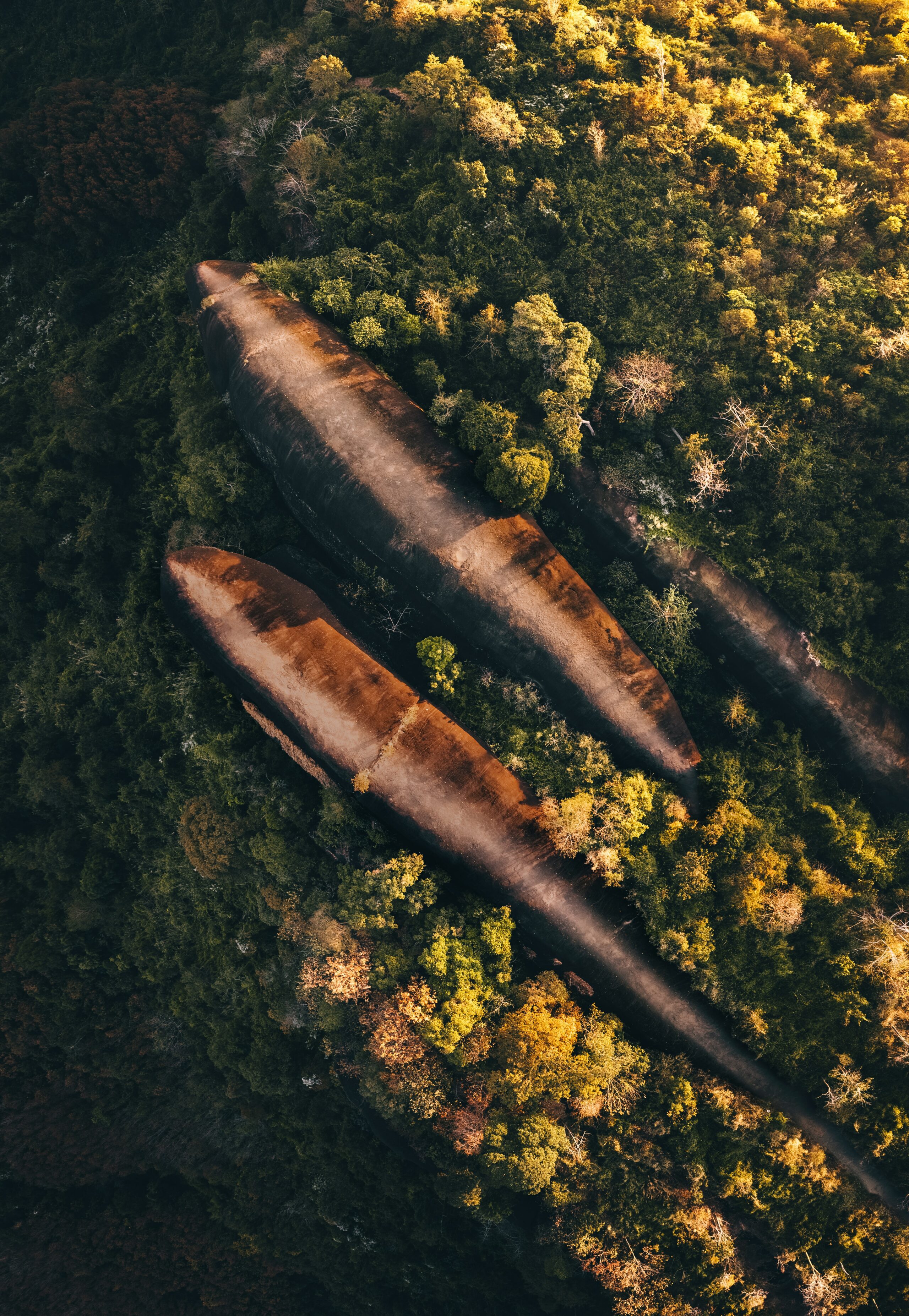 Jim W. from Aledo, TX -Step Study #2 -Glass House, Ft. Worth, TX -12/1988