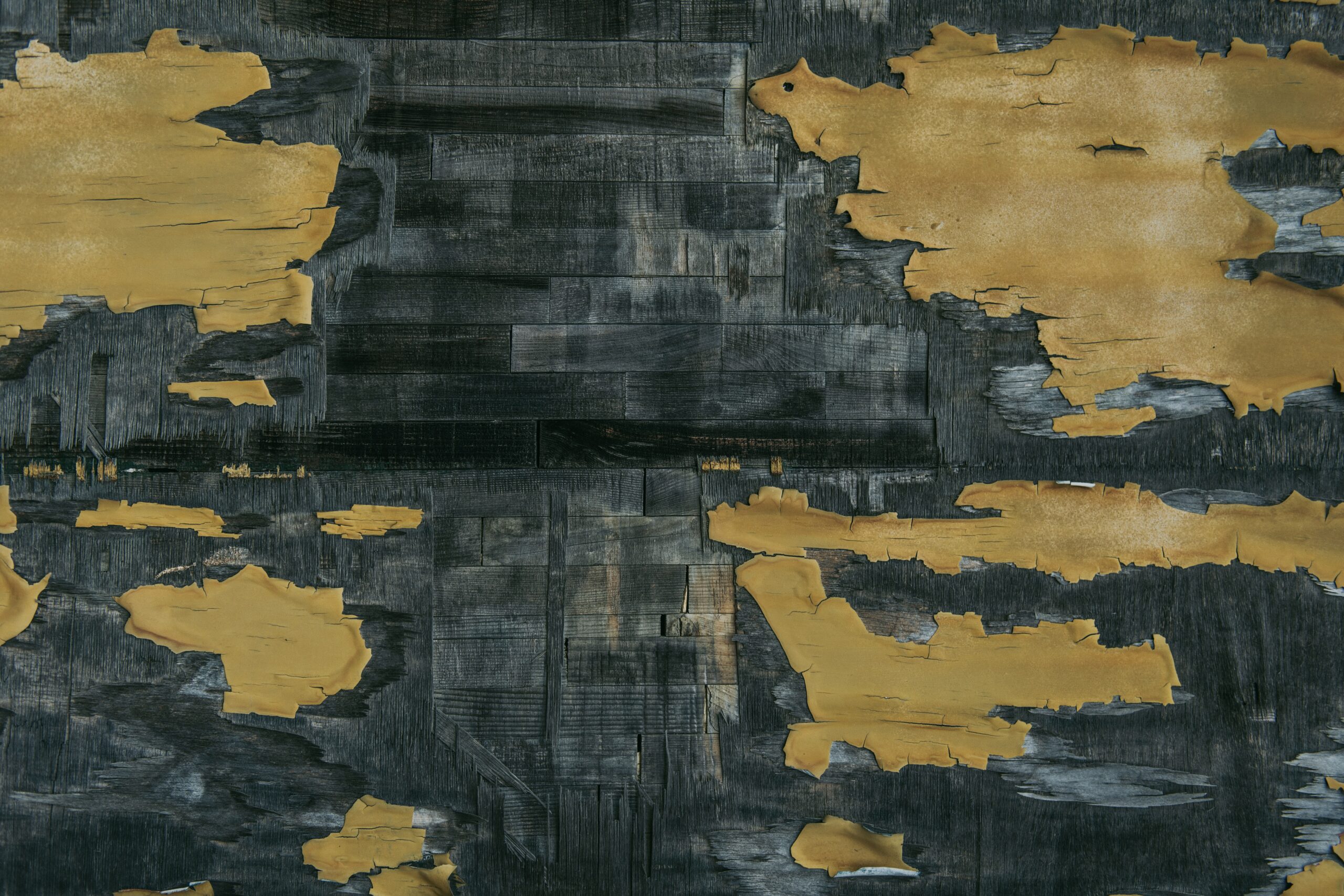 Barney M. from Alderson, WV. – 7th Great Plains Roundup – Omaha, NE. – 1989