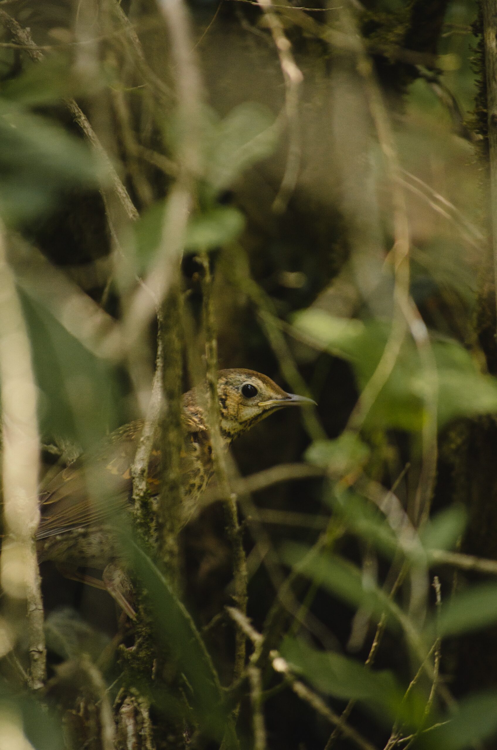 Brian C. from Greenbrae, CA at Sobriety by the Sea – Crescent City, CA – 9/27/2013