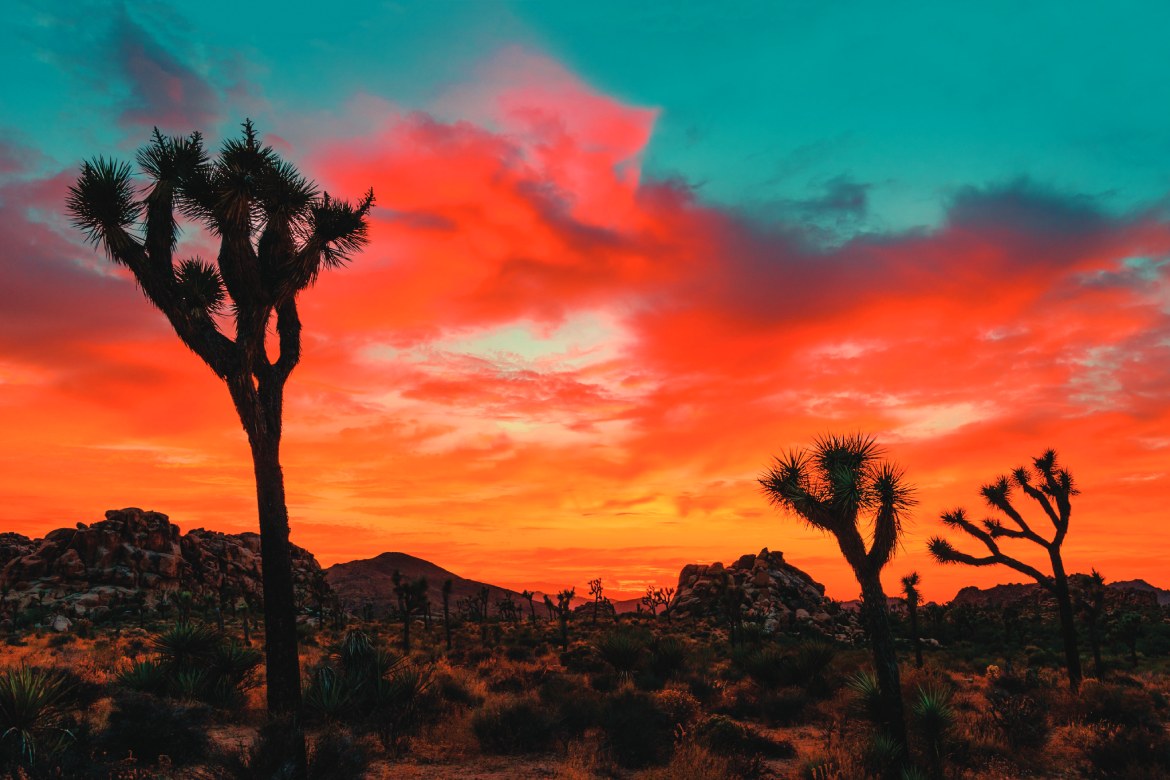 Paul R – 15th High Desert Conference – Hesperia, CA – 03-13-1999