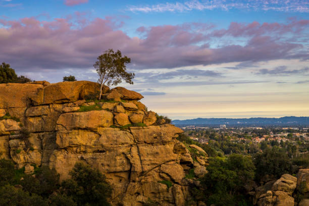 Bob C – Allen, TX – 2006 San Fernando Valley Convention – 02-05-2006